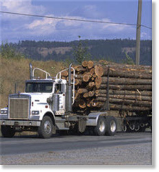 logging truck