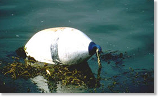 buoy floating in water