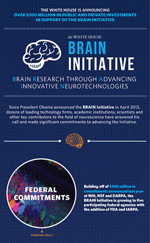 The Brain Initiative Infographic