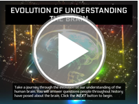 Evolution of Understanding the Brain