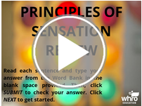 Principles of Sensation Review