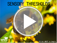 Sensory Thresholds