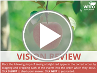 vision review