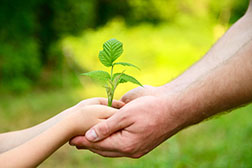 A child and and adult holding a growing plant