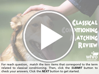 classical conditioning matching review