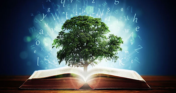 book with a tree of knowledge coming out from the center