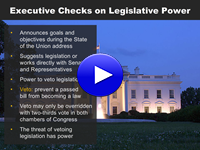 Executive Checks on Power