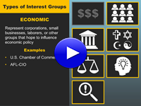 Interest Groups