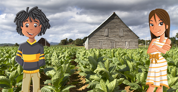 Martina and Terrance visit a tobacco field