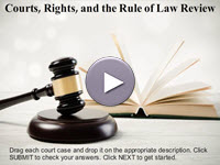 Courts, Rights, and the Rule of Law Review Interactivity