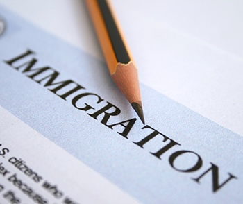 the word "immigration" typed on a document