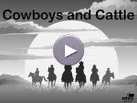 Cowboys and Cattle