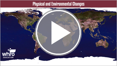 Physical and Environmental Changes Interactivity