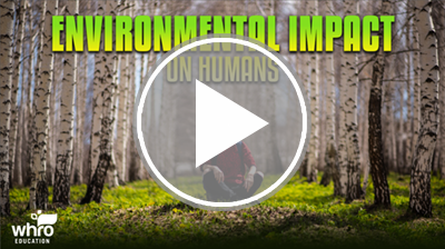 Environmental Impact on Humans Interactivity