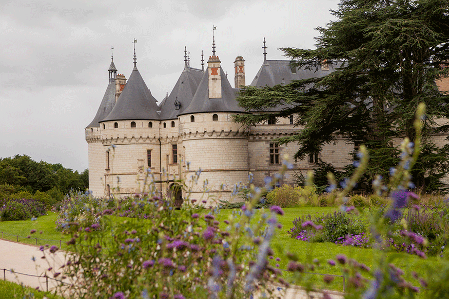 the castle Château de Chaumont