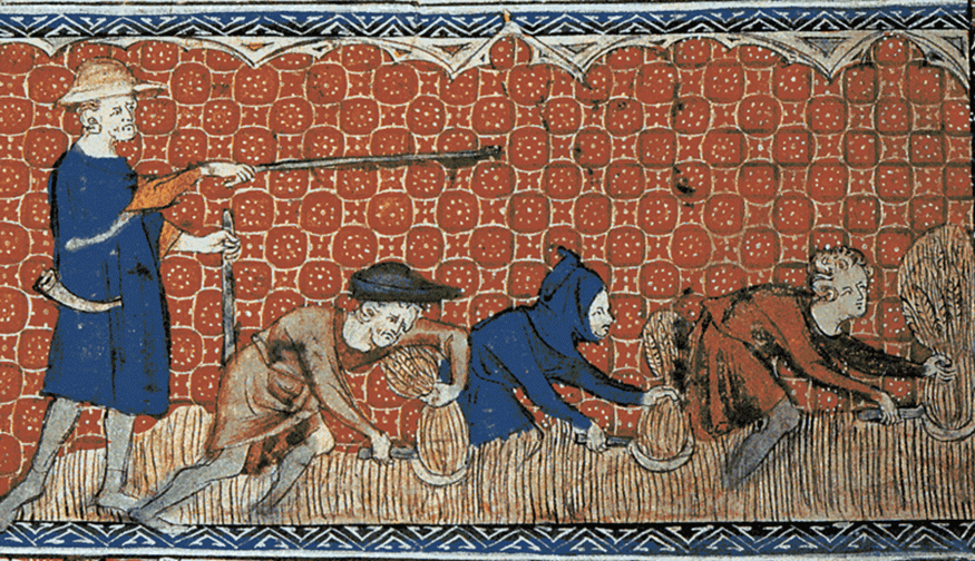 men harvesting wheat with reaping-hooks