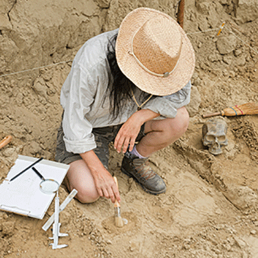 an archaeologist digging in the dirt surrounded by tools for the job