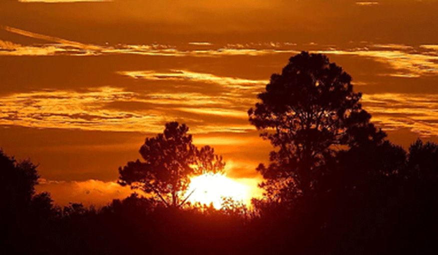 an African sunset