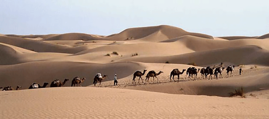 a caravan crossing the Sahara Desert